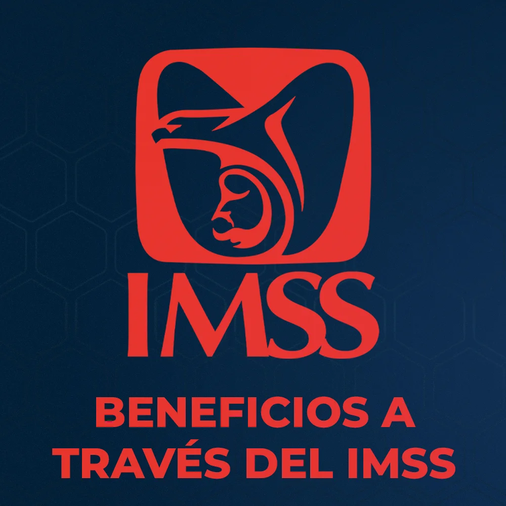 Proyectos, trabajadores independientes